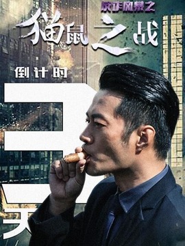 反诈风暴之猫鼠之战