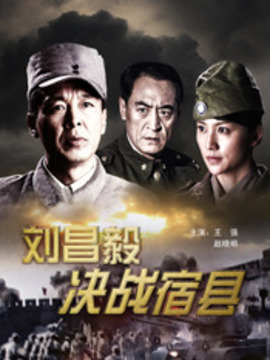 刘昌毅决战宿县