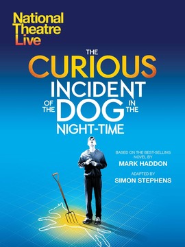 深夜小狗离奇事件