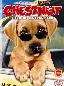 切斯纳特：中央公园的英雄