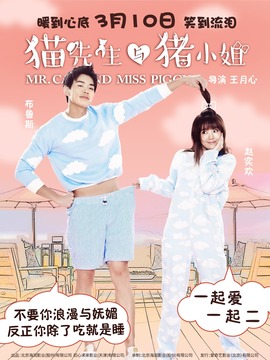 猫先生与猪小姐