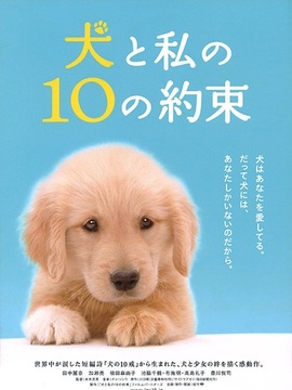 我和寻回犬的十个约定