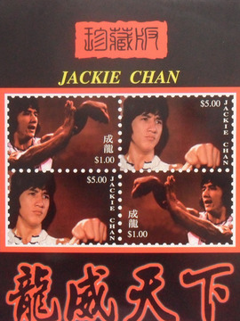 天下无敌之龙威天下