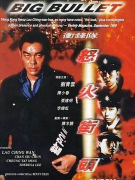 冲锋队之怒火街头