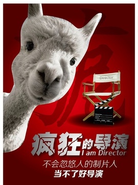 疯狂的导演