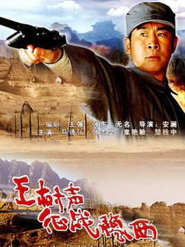 王树声征战豫西