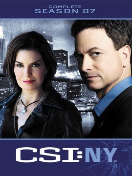 犯罪现场调查：纽约第七季