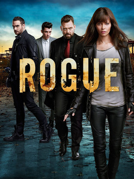 卧底情劫第二季