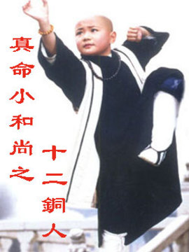 真命小和尚之十二铜人