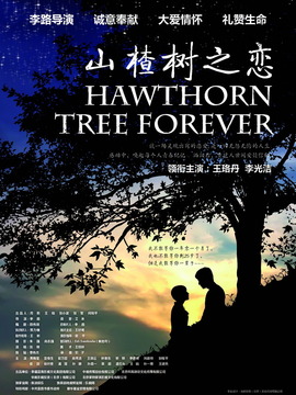 山楂树之恋