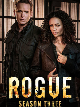 卧底情劫第三季