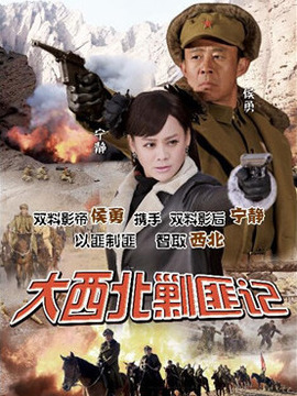 大西北剿匪记