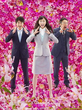 花咲舞无法沉默第二季