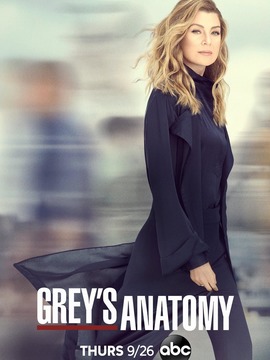 实习医生格蕾第十六季