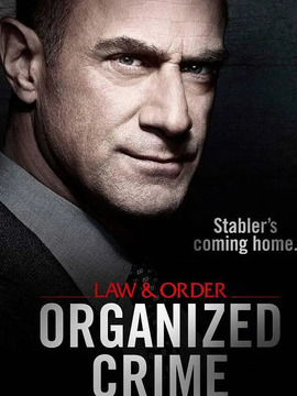 法律与秩序：组织犯罪