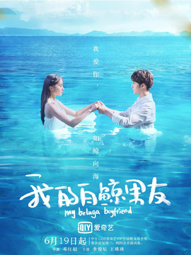 我的白鲸男友