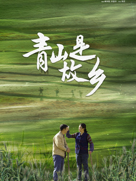 青山是故乡