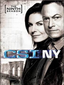 犯罪现场调查:纽约第九季