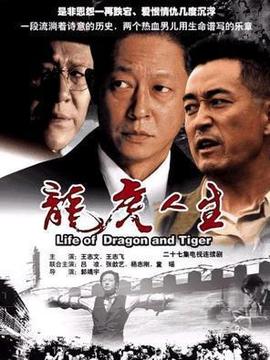 龙虎人生