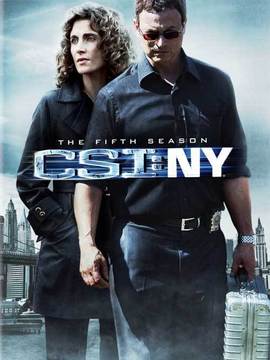 犯罪现场调查：纽约第五季